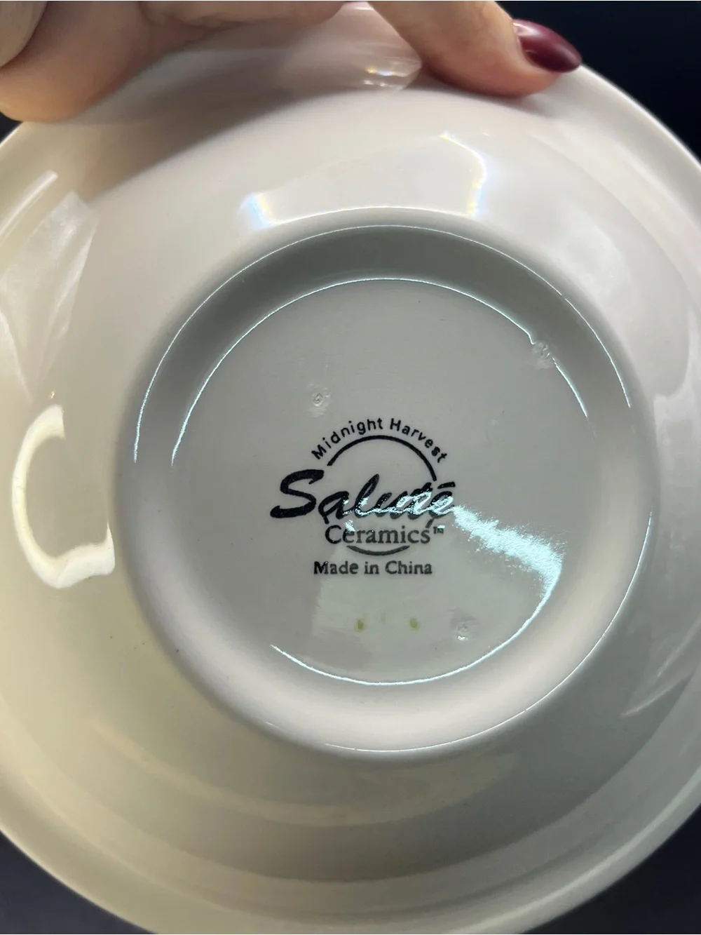 Salute Ceramics Hand Painted Corn On The Cob Bowls Vintage Soup Pasta Set Of 4